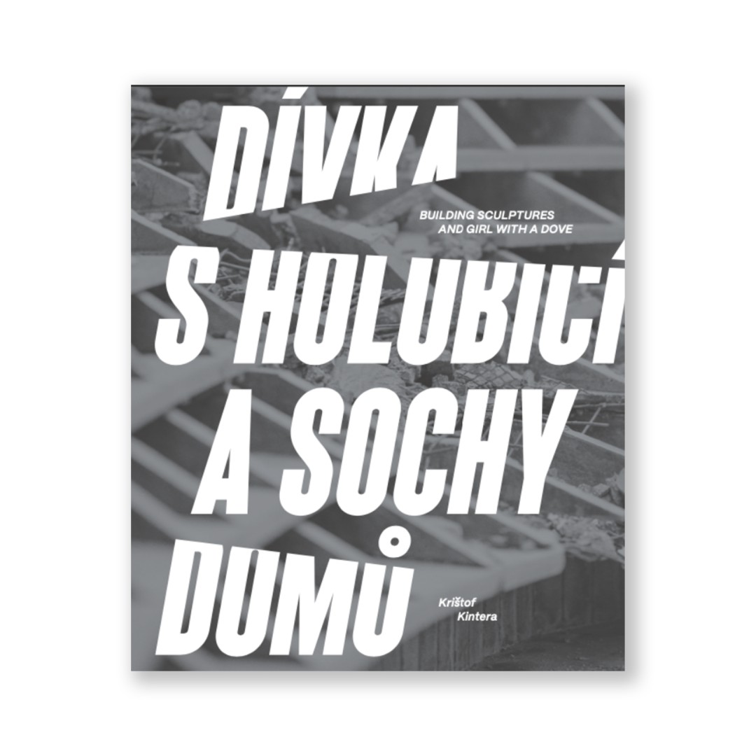 Dívka s holubicí a sochy domů
